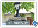 Les Bouleaux